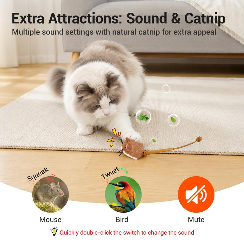 Sound & catnip